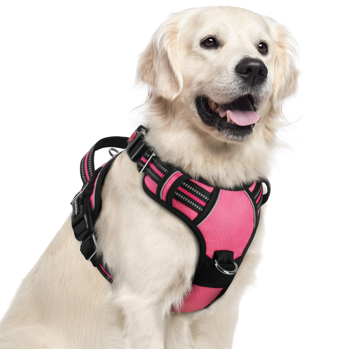 Arnés Rabbitgoo para perros grandes con tres hebillas para ajuste rápido.