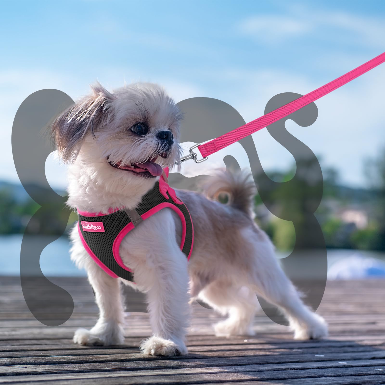 Rabbitgoo arnés para perros pequeños, ergonómico y cómodo para uso diario.