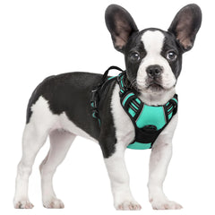 Arnés rabbitgoo para perros sin tirones, enfoque frontal turquesa, ideal para control durante paseos