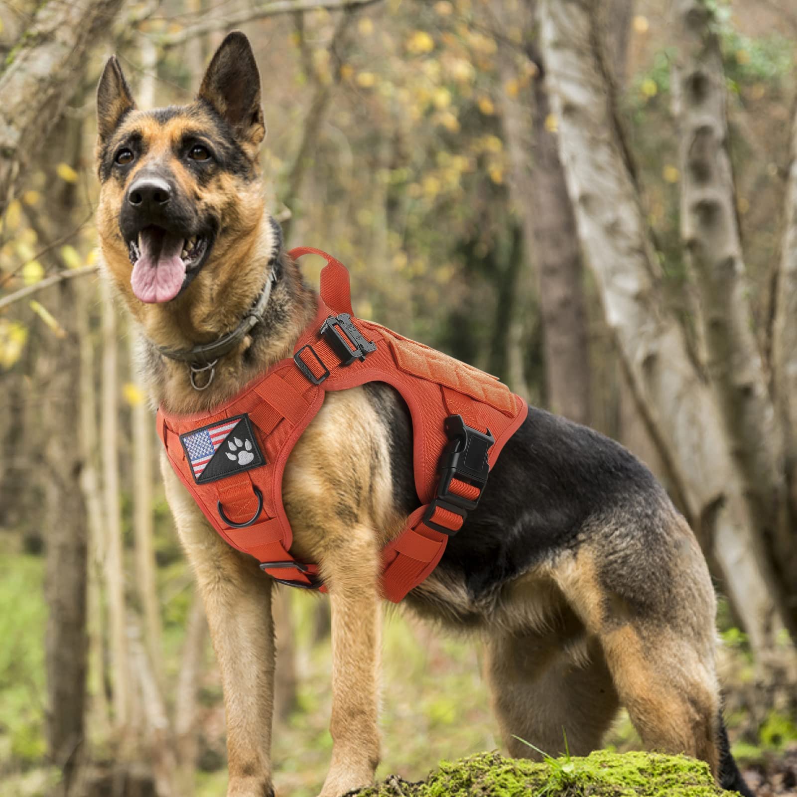 Arnés táctico Rabbitgoo, uso exterior, duradero para caza, entrenamiento y paseo.