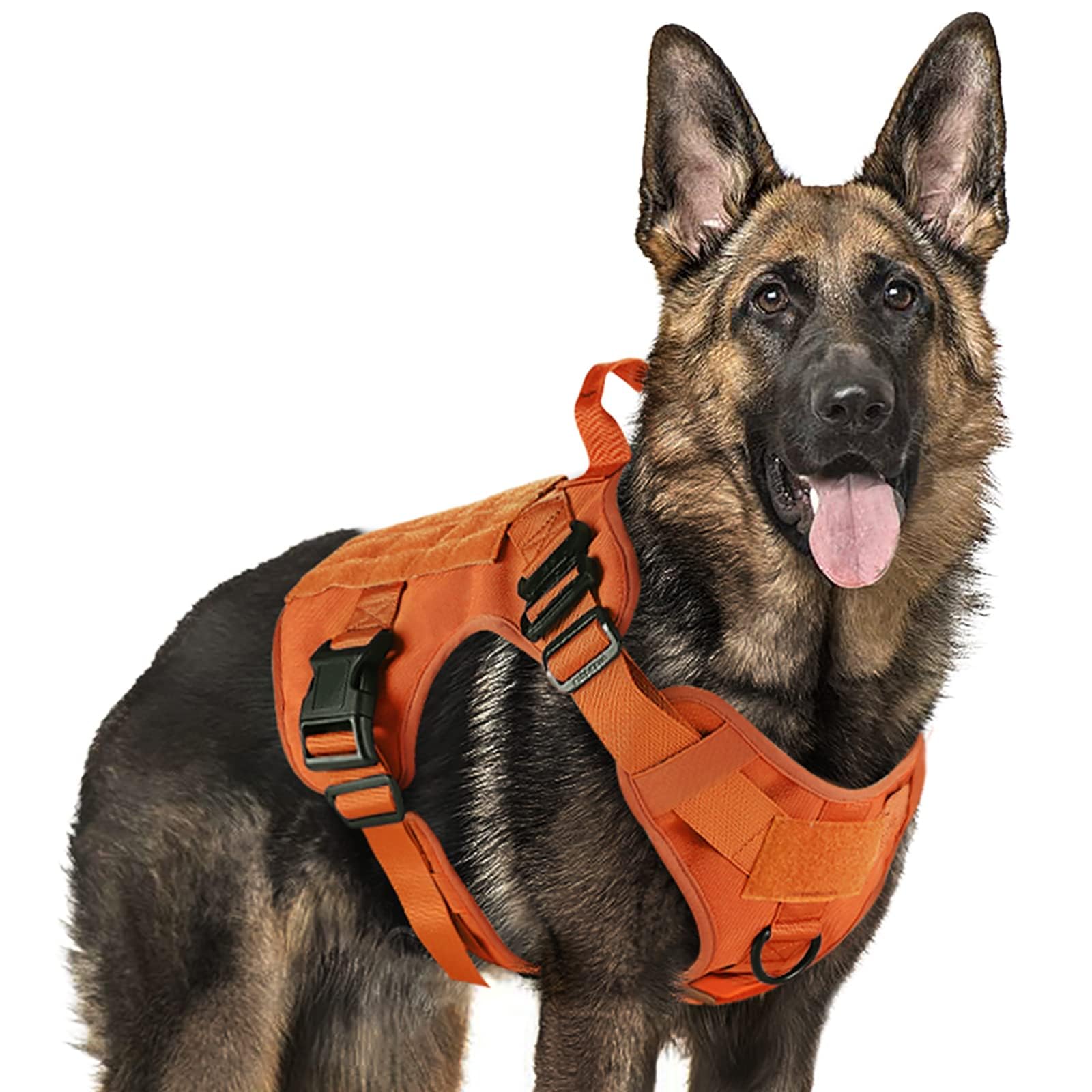 Arnés táctico Rabbitgoo, vista frontal, ideal para entrenamiento y control durante paseos.
