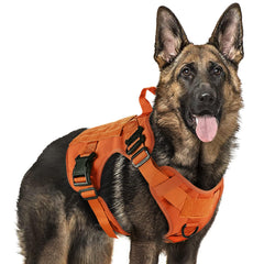 Arnés táctico Rabbitgoo, vista frontal, ideal para entrenamiento y control durante paseos.
