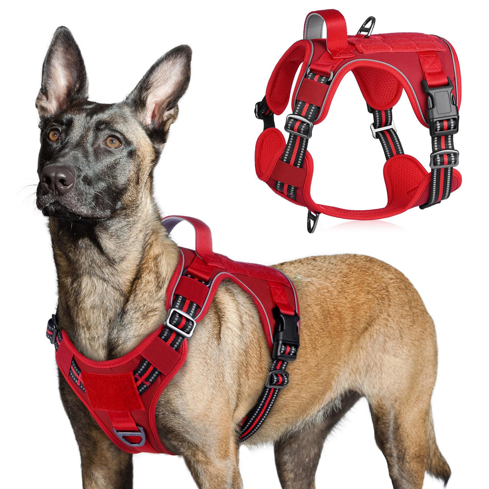 rabbitgoo arnés táctico para perro grande, vista frontal, ofrece control más seguro durante paseos