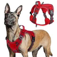 rabbitgoo arnés táctico para perro grande, vista frontal, ofrece control más seguro durante paseos