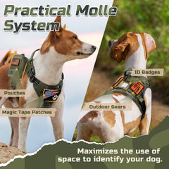Paneles Molle en Rabbitgoo arnés táctico para accesorios y parches.