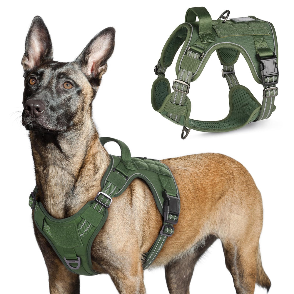 Arnés Rabbitgoo para perro grande en verde con ajuste cómodo para paseos diarios.