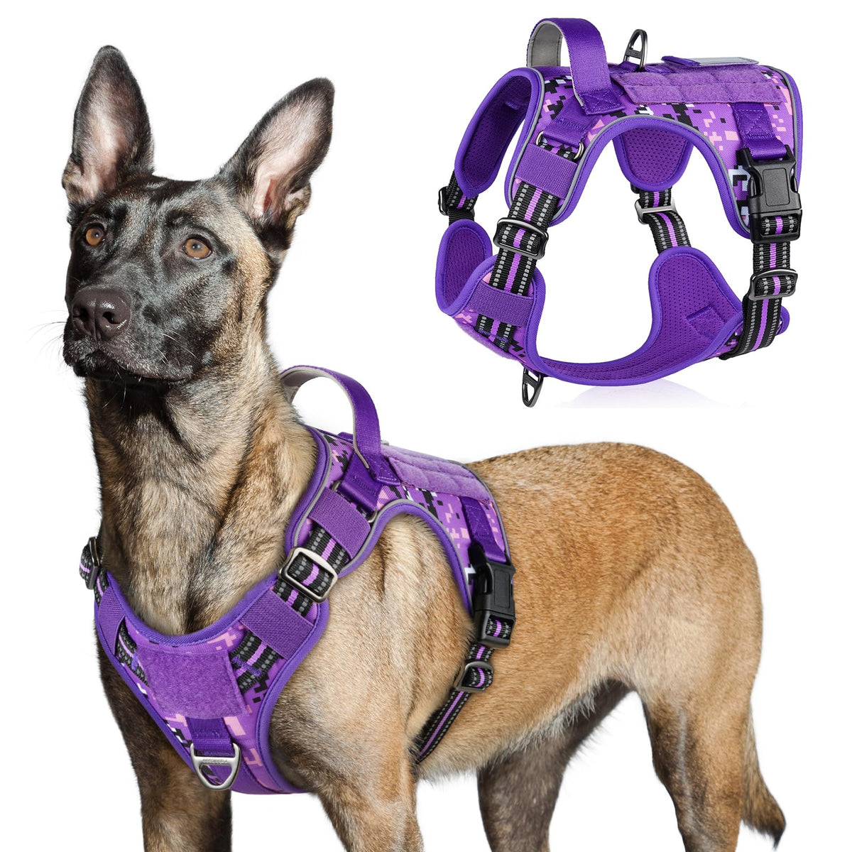 Arnés Rabbitgoo táctico para perros grandes, vista general y ajuste cómodo