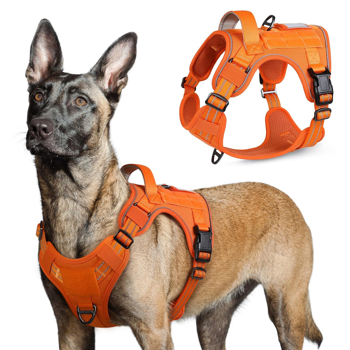 Arnés táctico rabbitgoo para perros grandes, ajustable y cómodo para largas caminatas