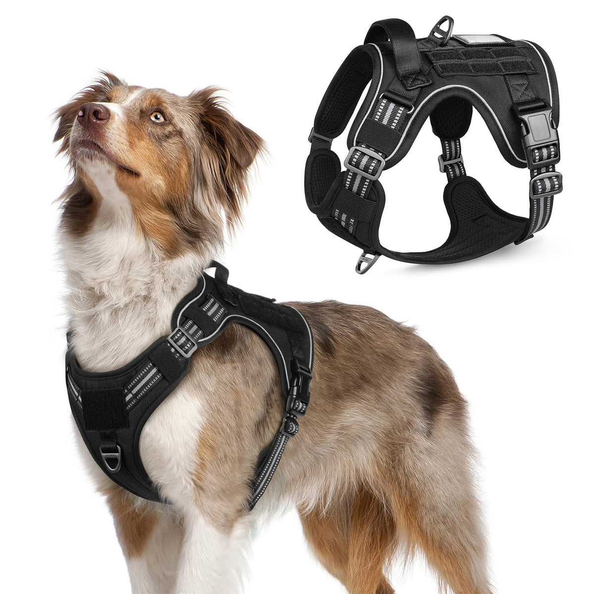 Arnés táctico Rabbitgoo para perro mediano, ajuste cómodo y seguro para entrenamiento.