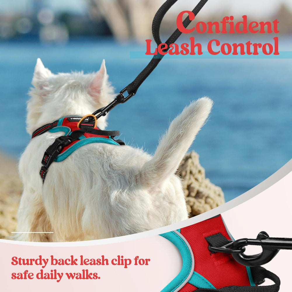 Rabbitgoo asa de control superior para maniobras rápidas al caminar.