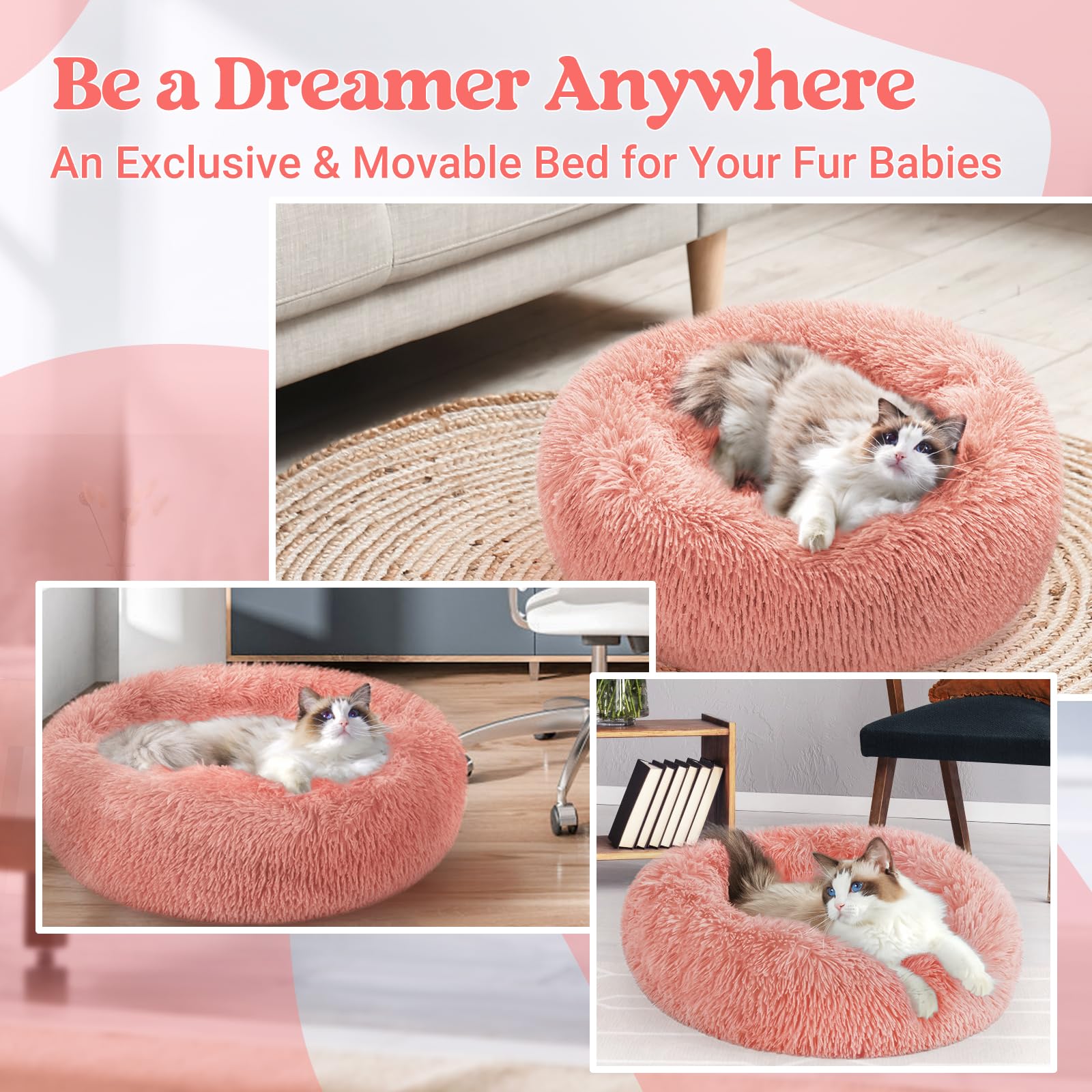 Cama rabbitgoo de medidas 50 x 50 cm para gatos pequeños.