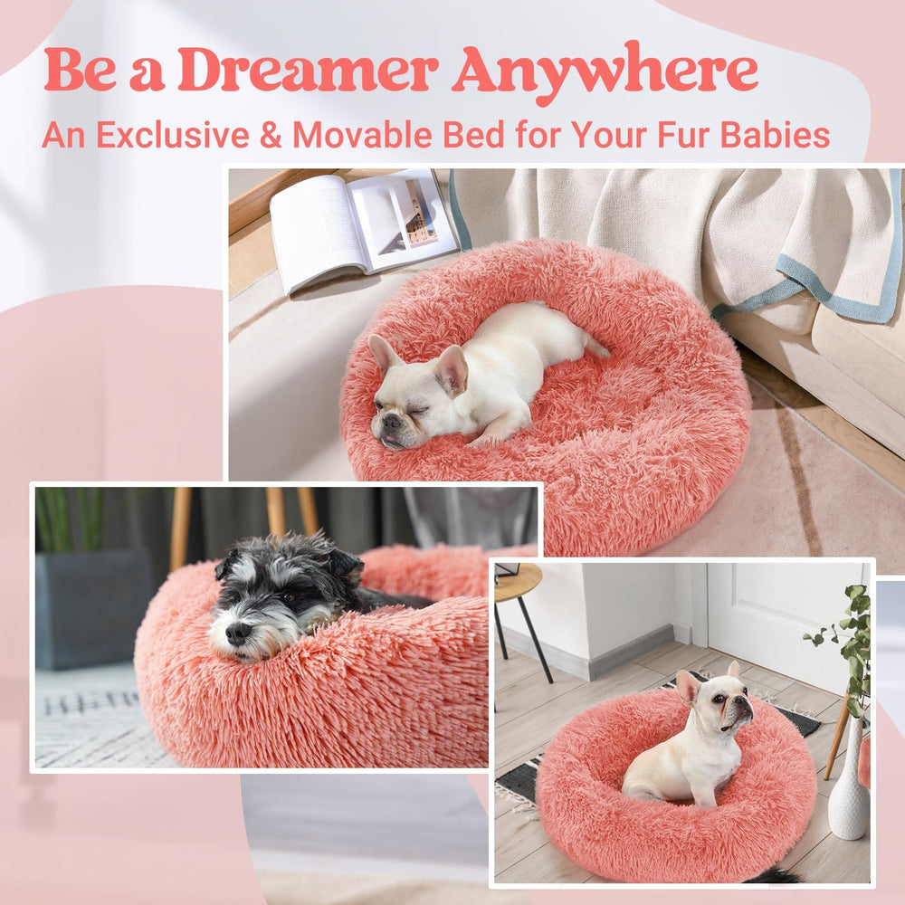 Cama rabbitgoo apta para mascotas pequeñas hasta 18 lb.