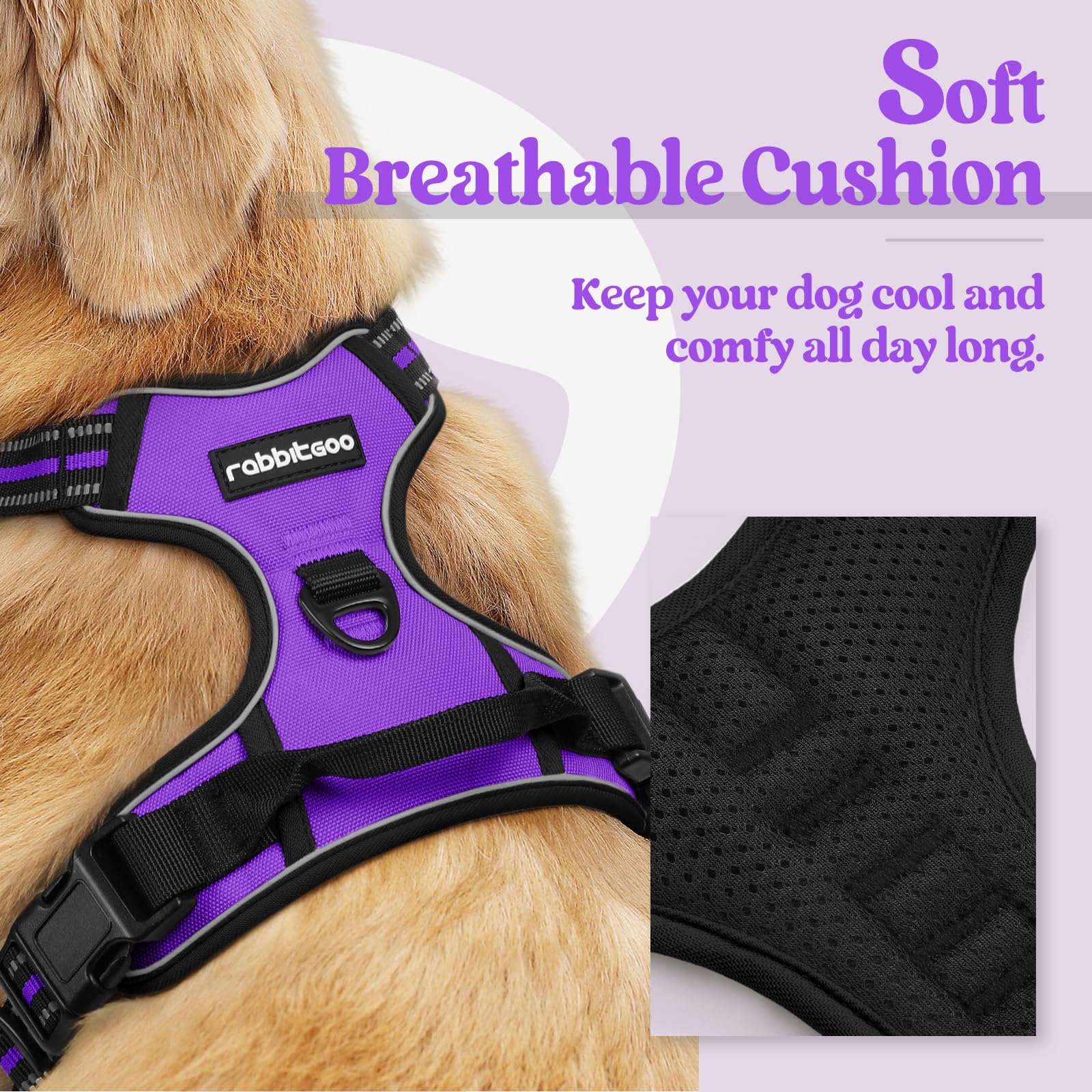 Rabbitgoo arnés con enfoque dorsal para caminatas diarias sin tirones.
