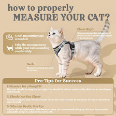 Correa Rabbitgoo para gato, enfoque 4-9 pies, ideal para paseos controlados.