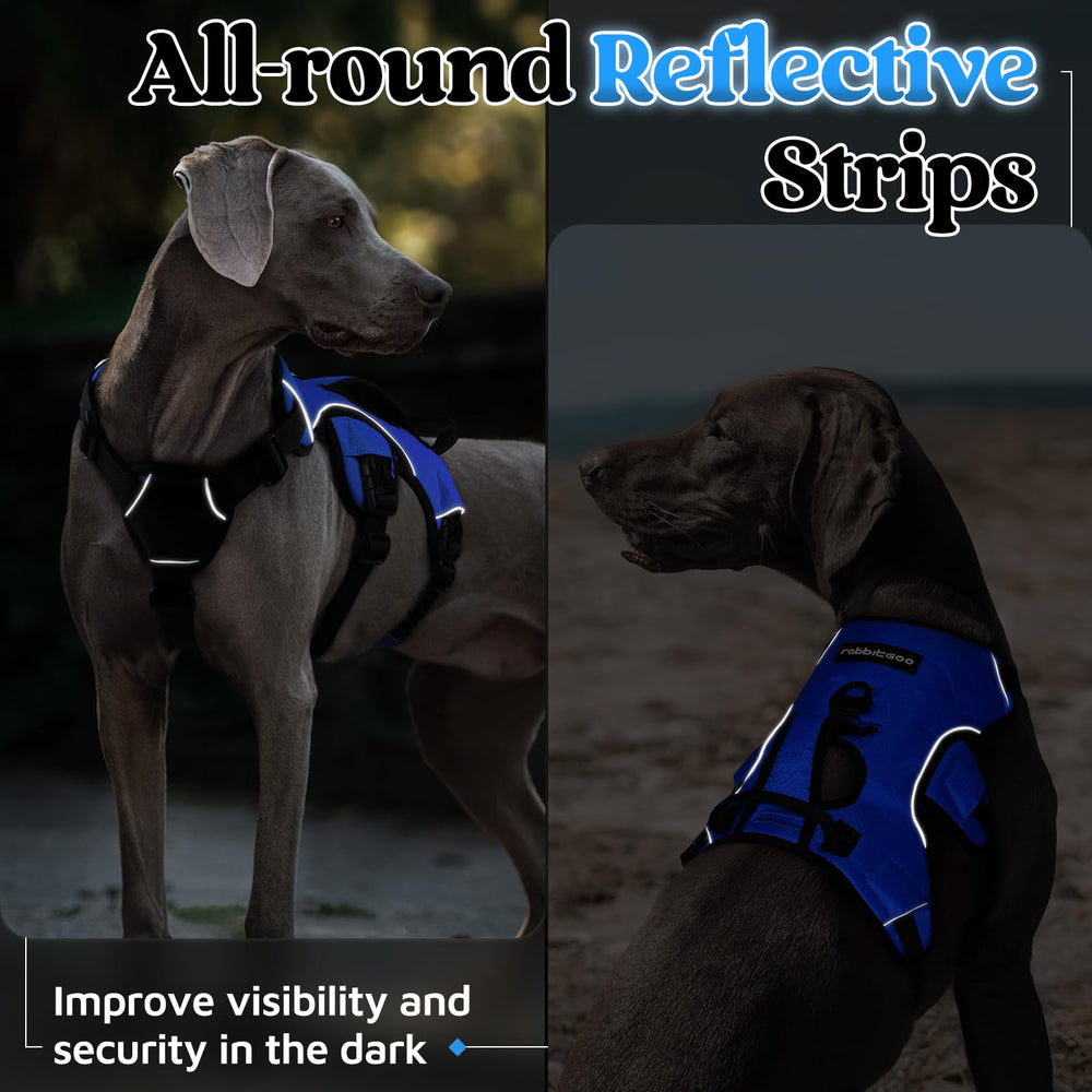 Diseño antibloqueo de rabbitgoo para perros activos que no se escapan