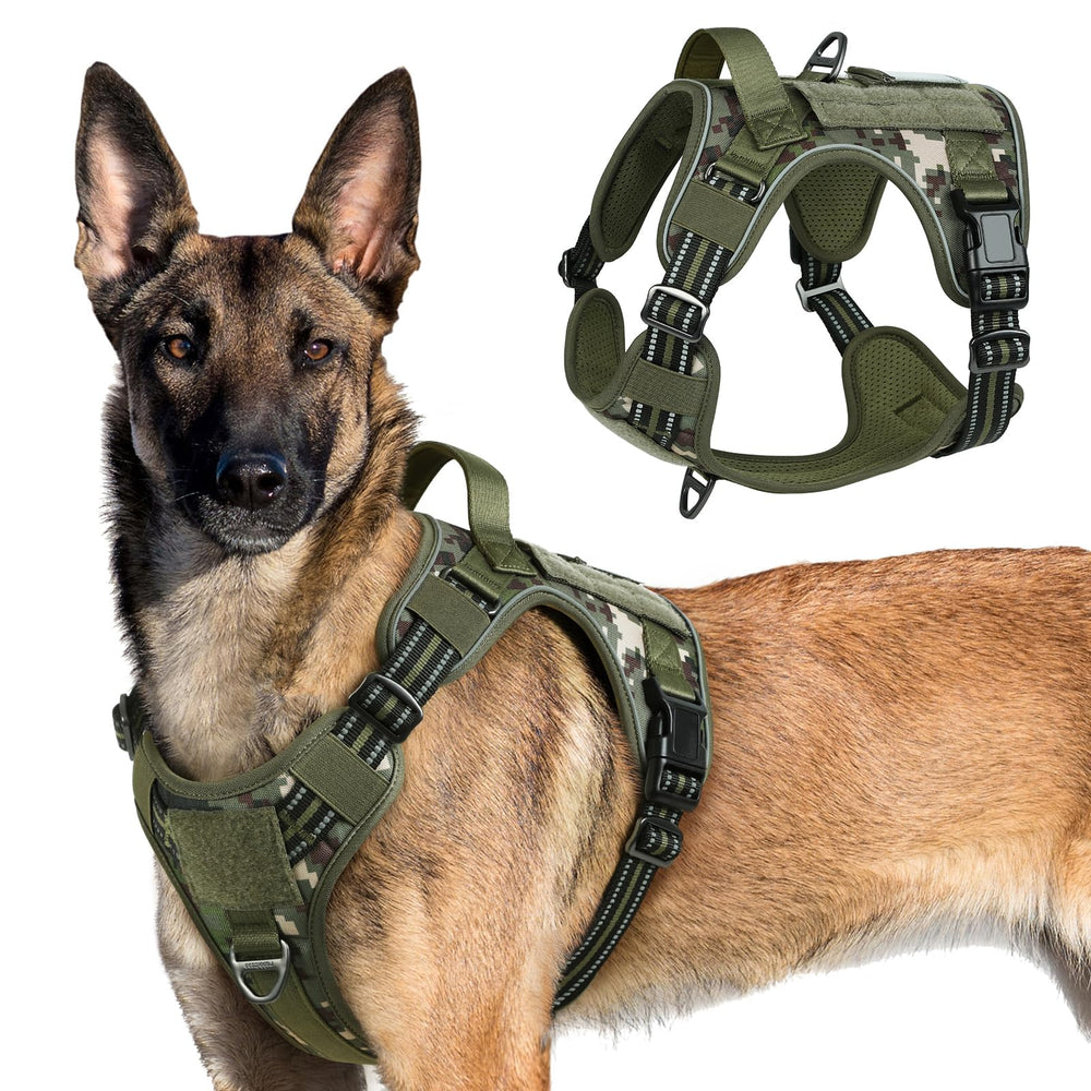 Arnés táctico Rabbitgoo con ajuste óptimo para perros grandes en entrenamientos.