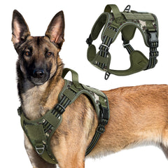 Arnés táctico Rabbitgoo con ajuste óptimo para perros grandes en entrenamientos.