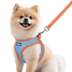 Arnés Rabbitgoo paso de entrada para perro pequeño, fácil de colocar.