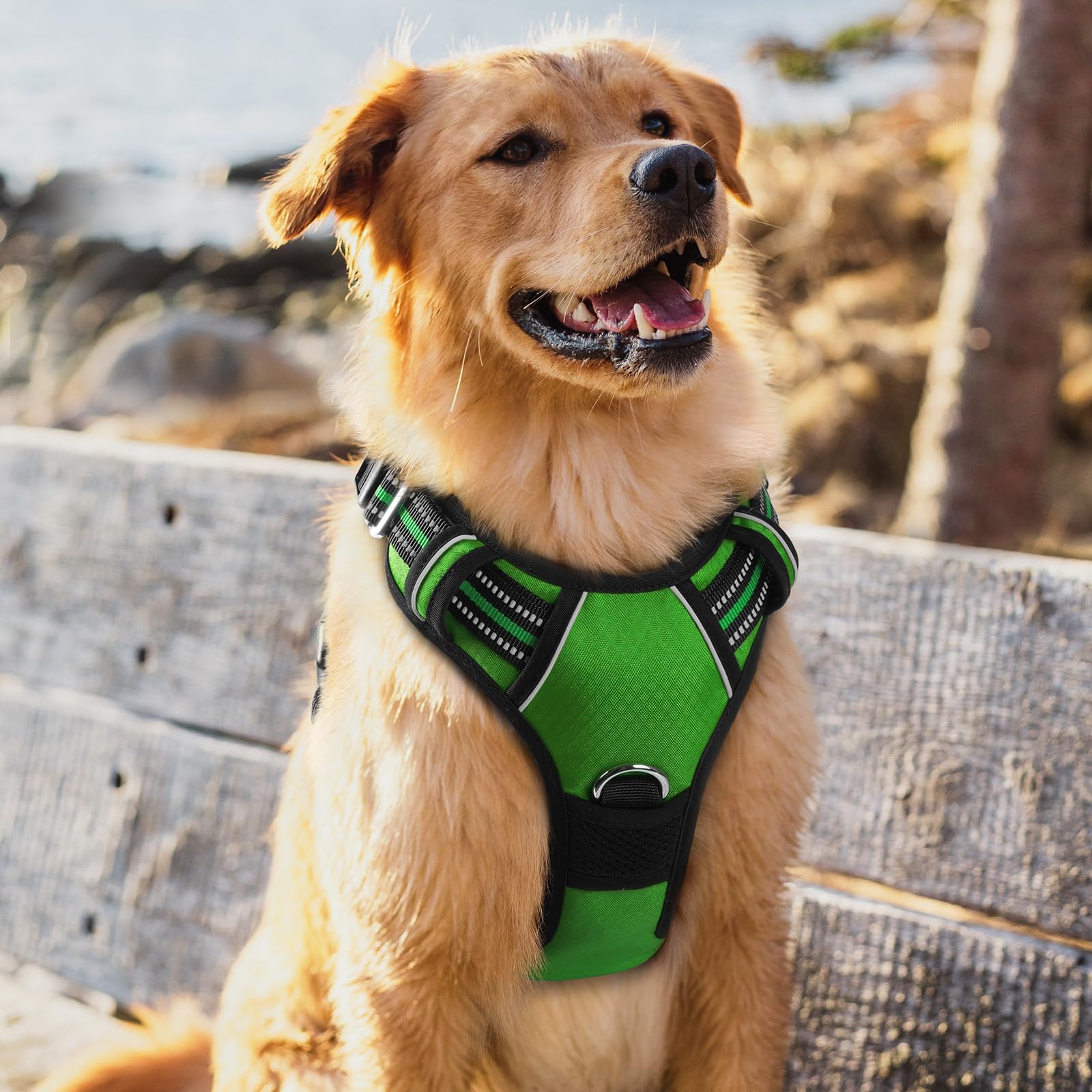 rabbitgoo arnés XL en verde, ideal para paseos diarios.