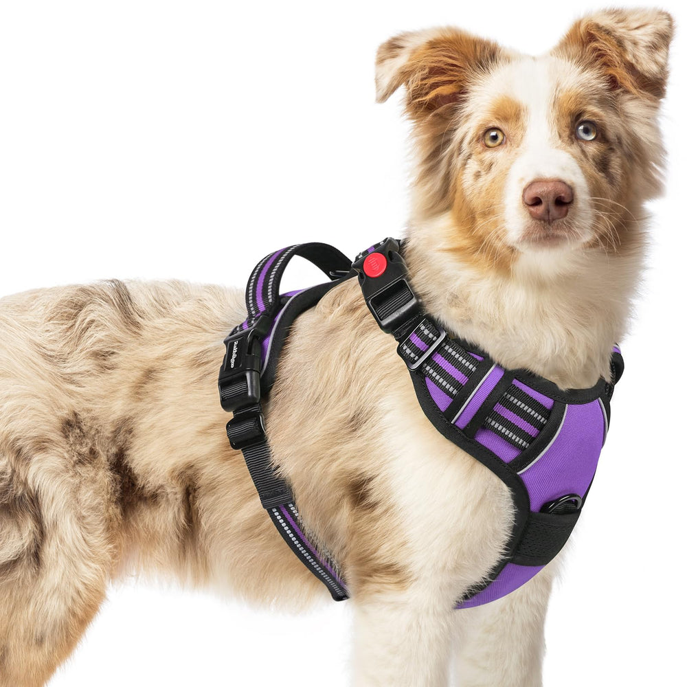 arnés rabbitgoo para perro mediano con cuatro ajustes, cómodo y seguro.