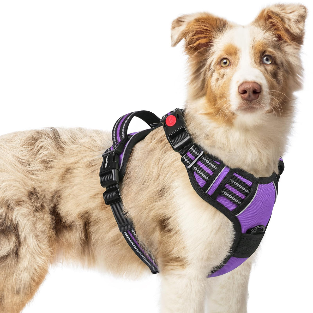 arnés rabbitgoo para perro mediano con cuatro ajustes, cómodo y seguro.
