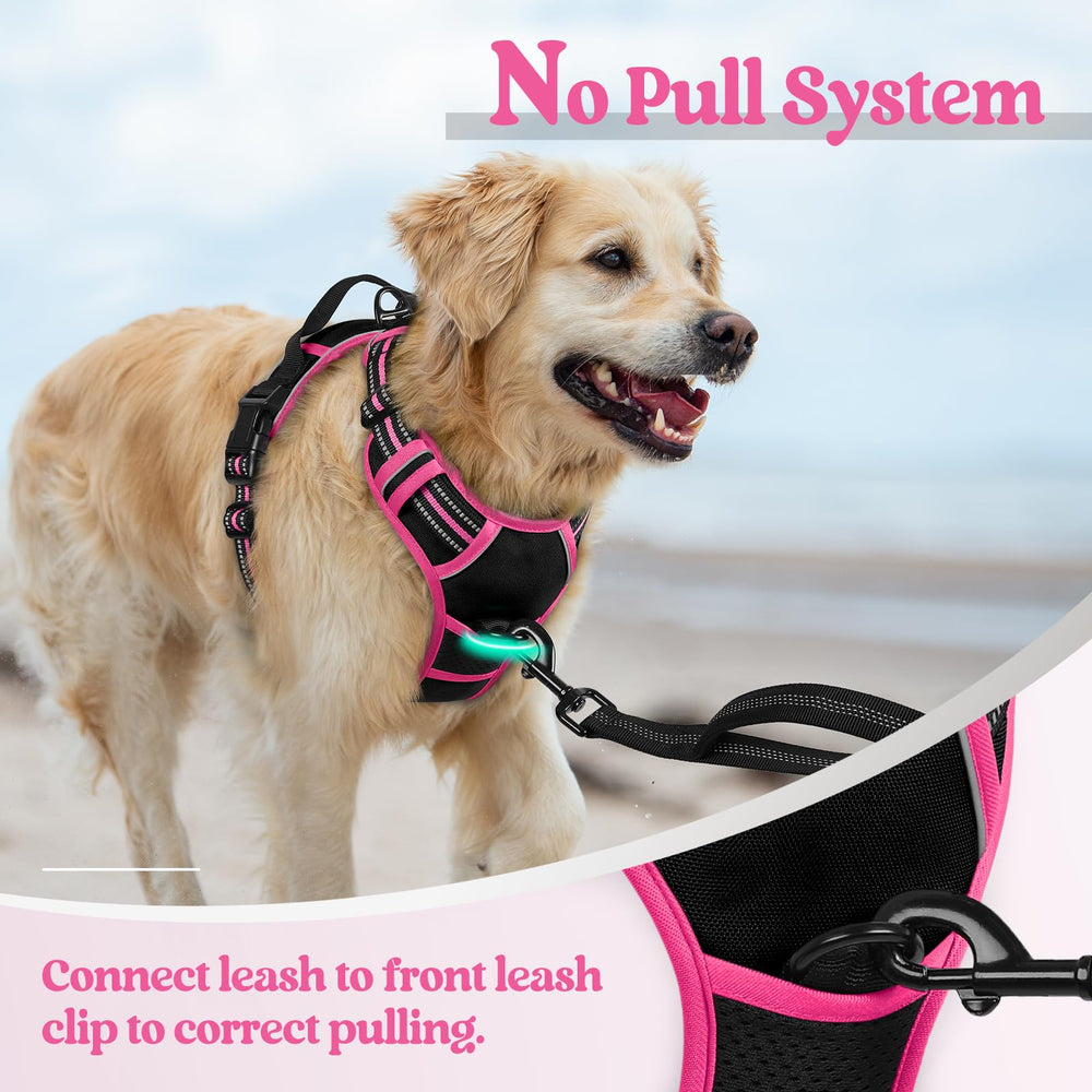 Arnés rabbitgoo con hebillas rápidas para colocar y quitar fácilmente.