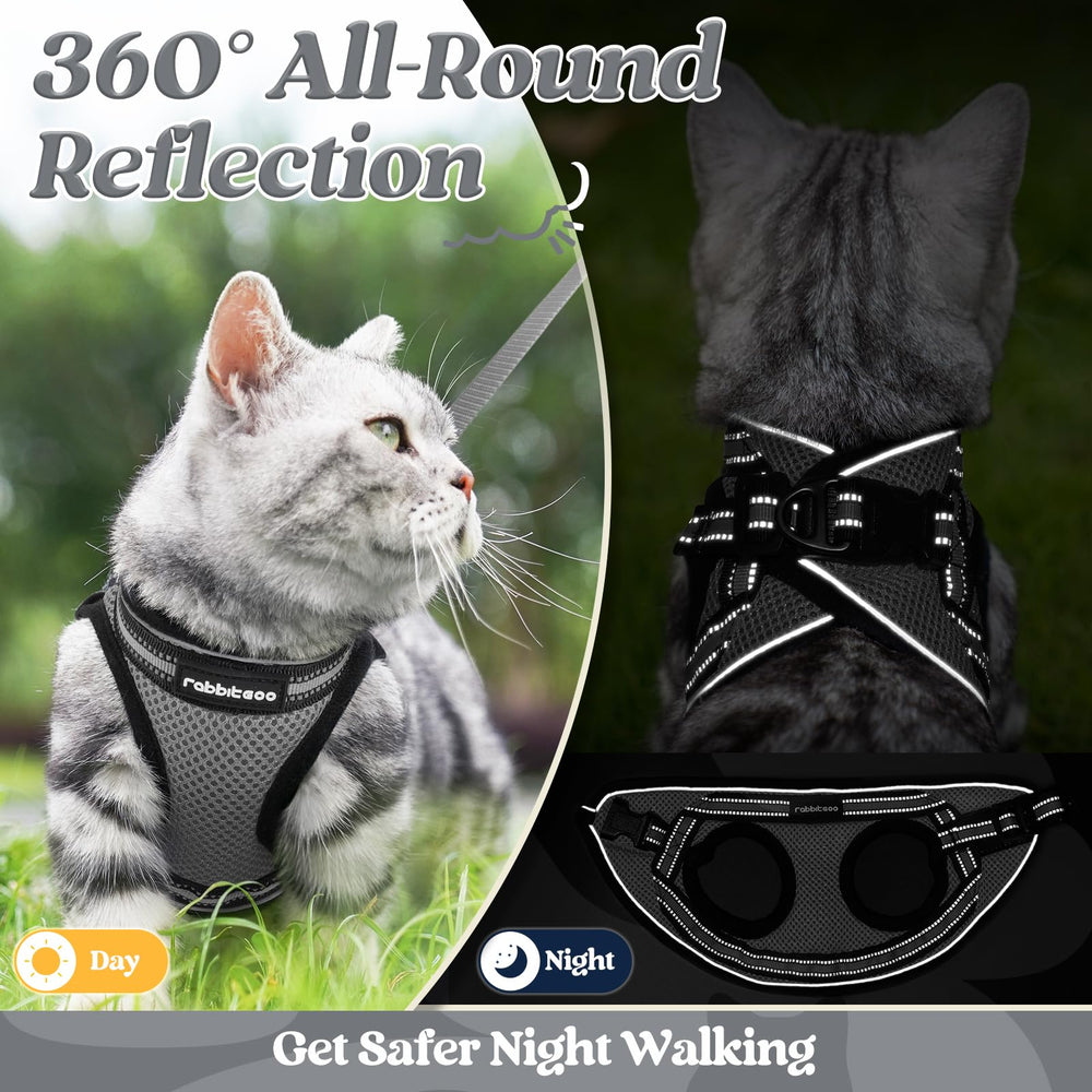 Paseos diarios al exterior con Rabbitgoo para gatos
