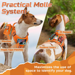 Sistema MOLLE en ambos lados rabbitgoo para accesorios y parches