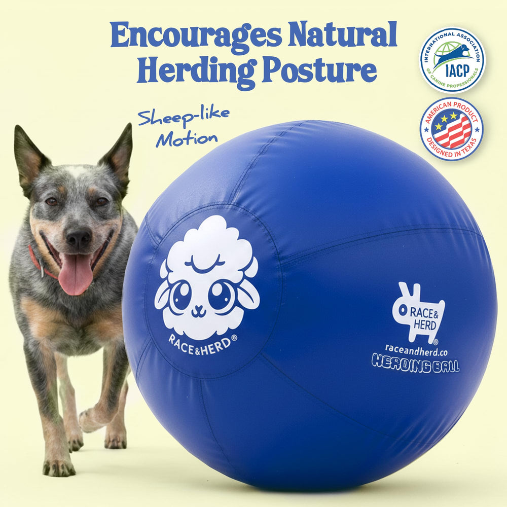 Bola Race&Herd resistente a mordidas para perros grandes