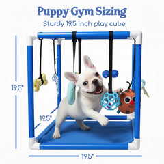 Race&Herd Puppy Play Gym: juguetes interactivos para estimular curiosidad y ejercicio