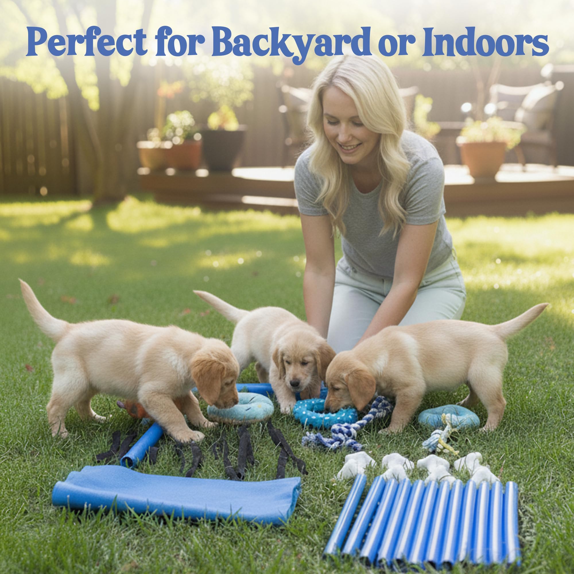 Race&Herd Puppy Play Gym: montaje fácil sin herramientas para uso inmediato
