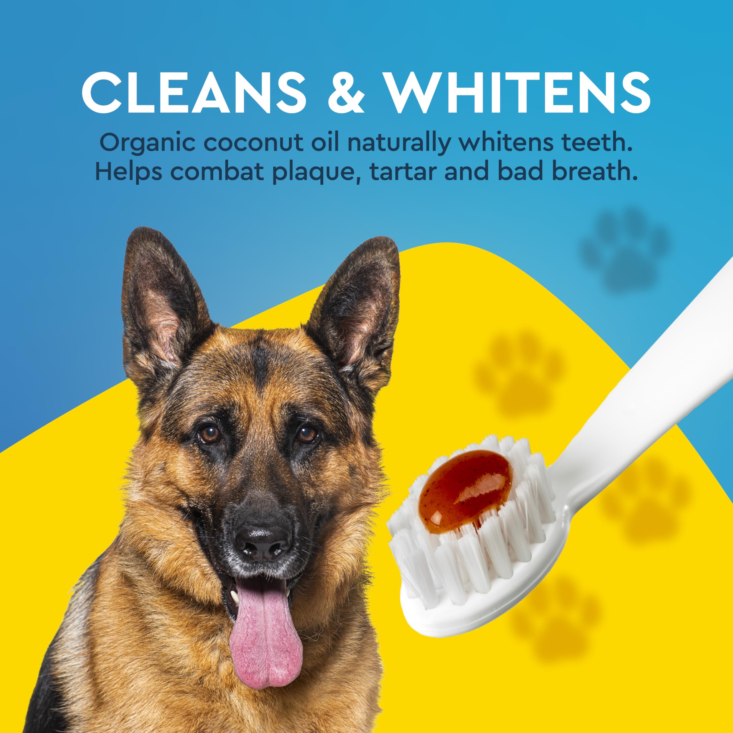 Pasta dental canina RADIUS orgánica, aplicación fácil para cuidado oral diario.