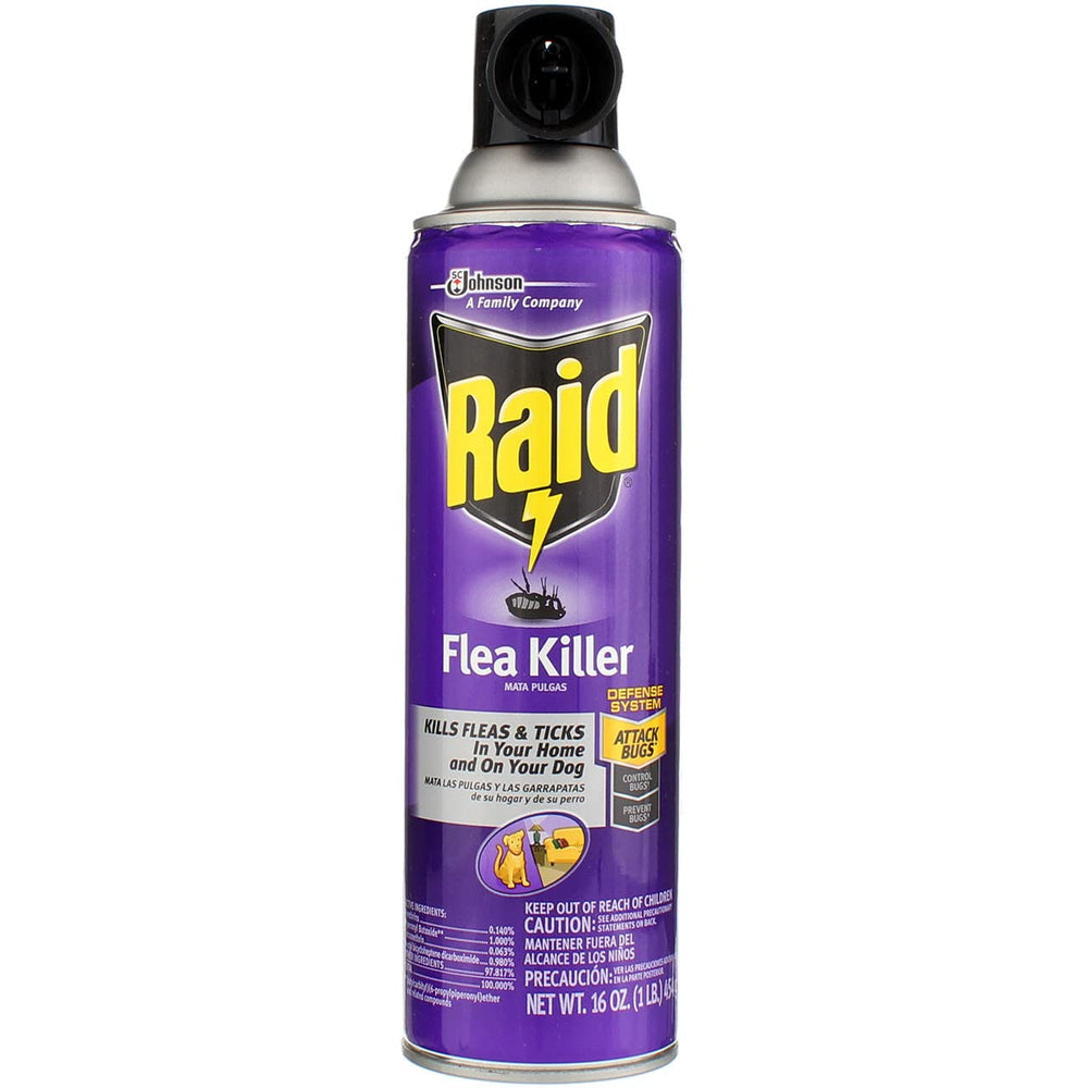 Raid Eliminador de pulgas: botella aerosol con espuma para alfombras.