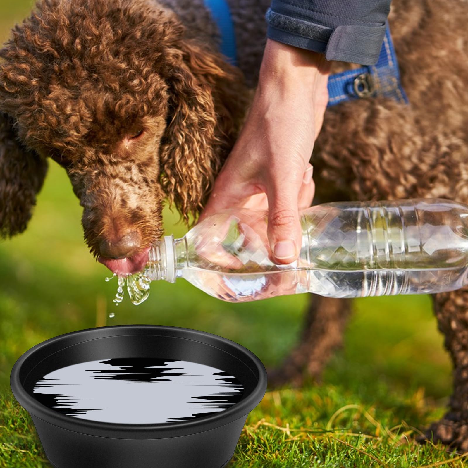 Cuenco Rainmae para cabras, resistente y fácil de limpiar.