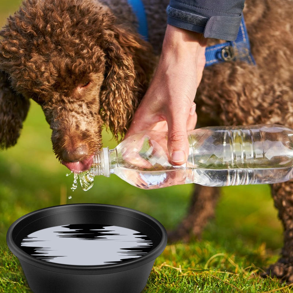 Cuenco Rainmae para cabras, resistente y fácil de limpiar.