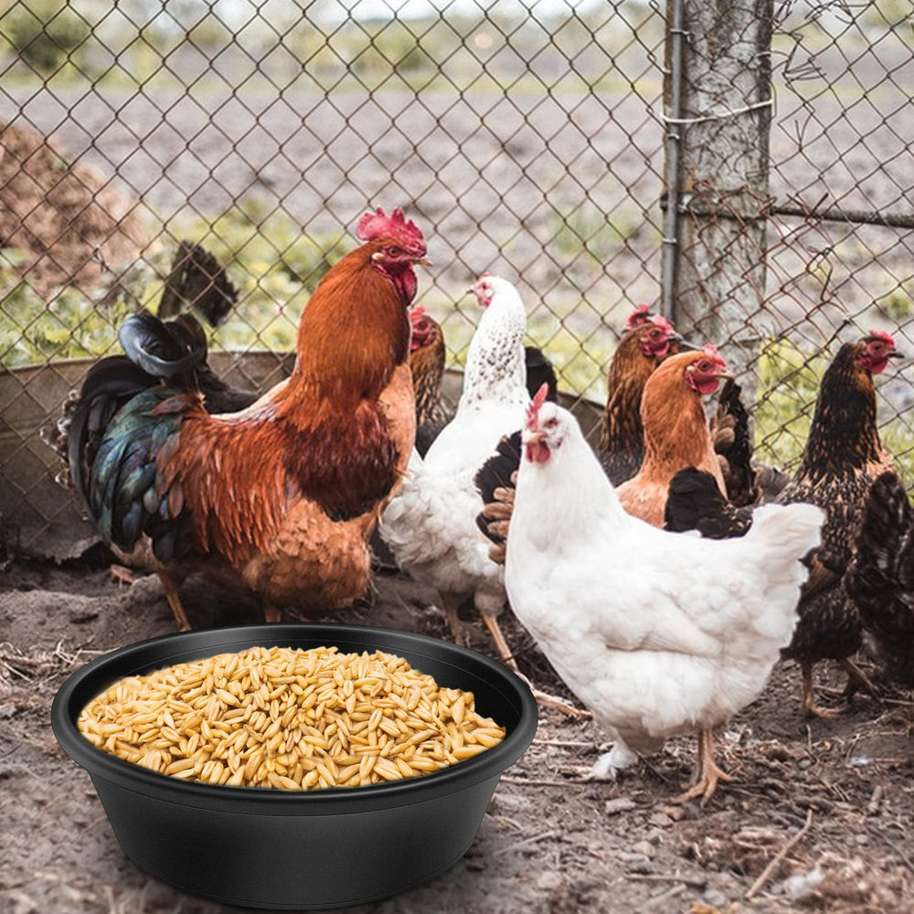 Cuenco Rainmae para gallinas, ideal para agua o comida.