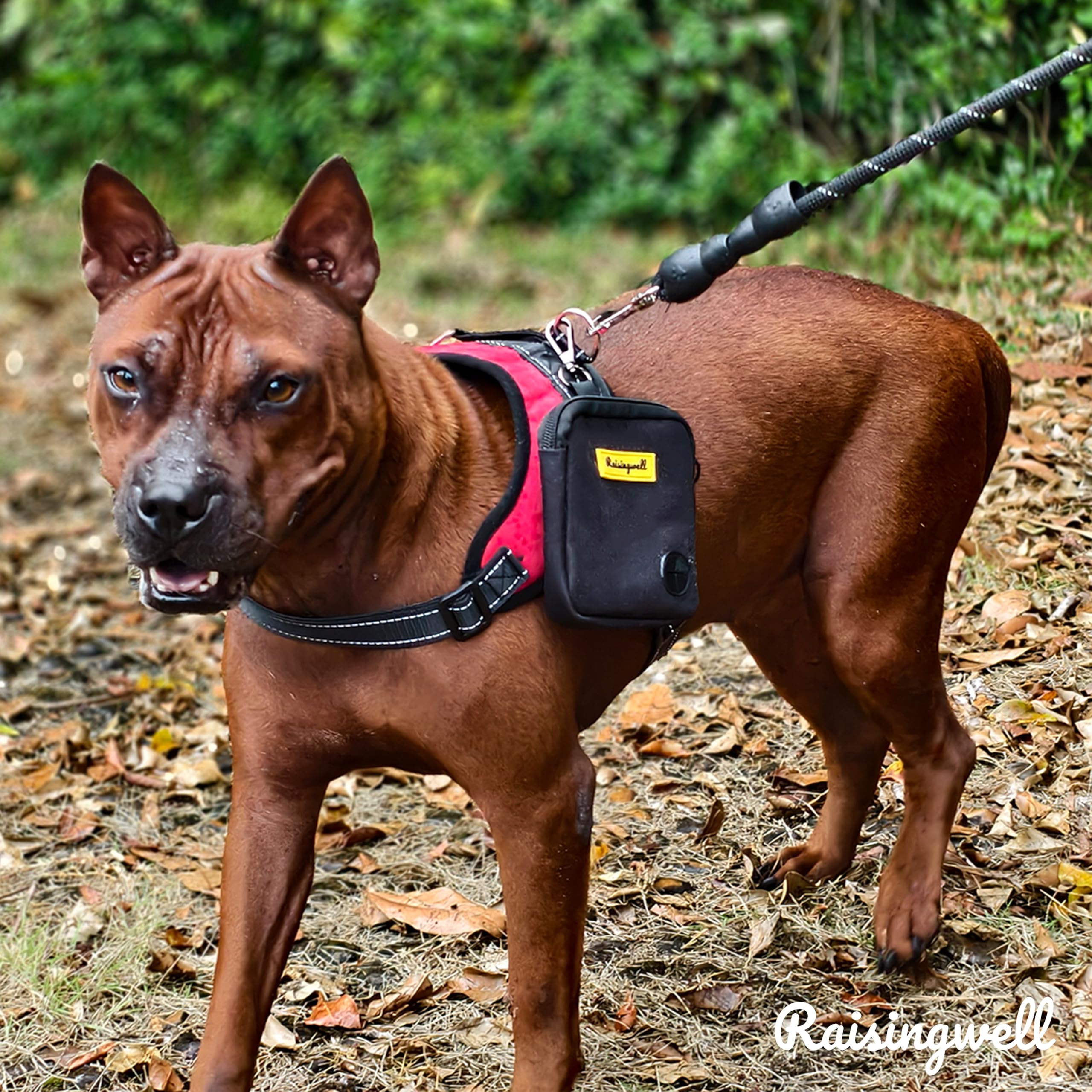Raisingwell bolsa premios perro, doble uso, sirve para comida y juguetes pequeños.