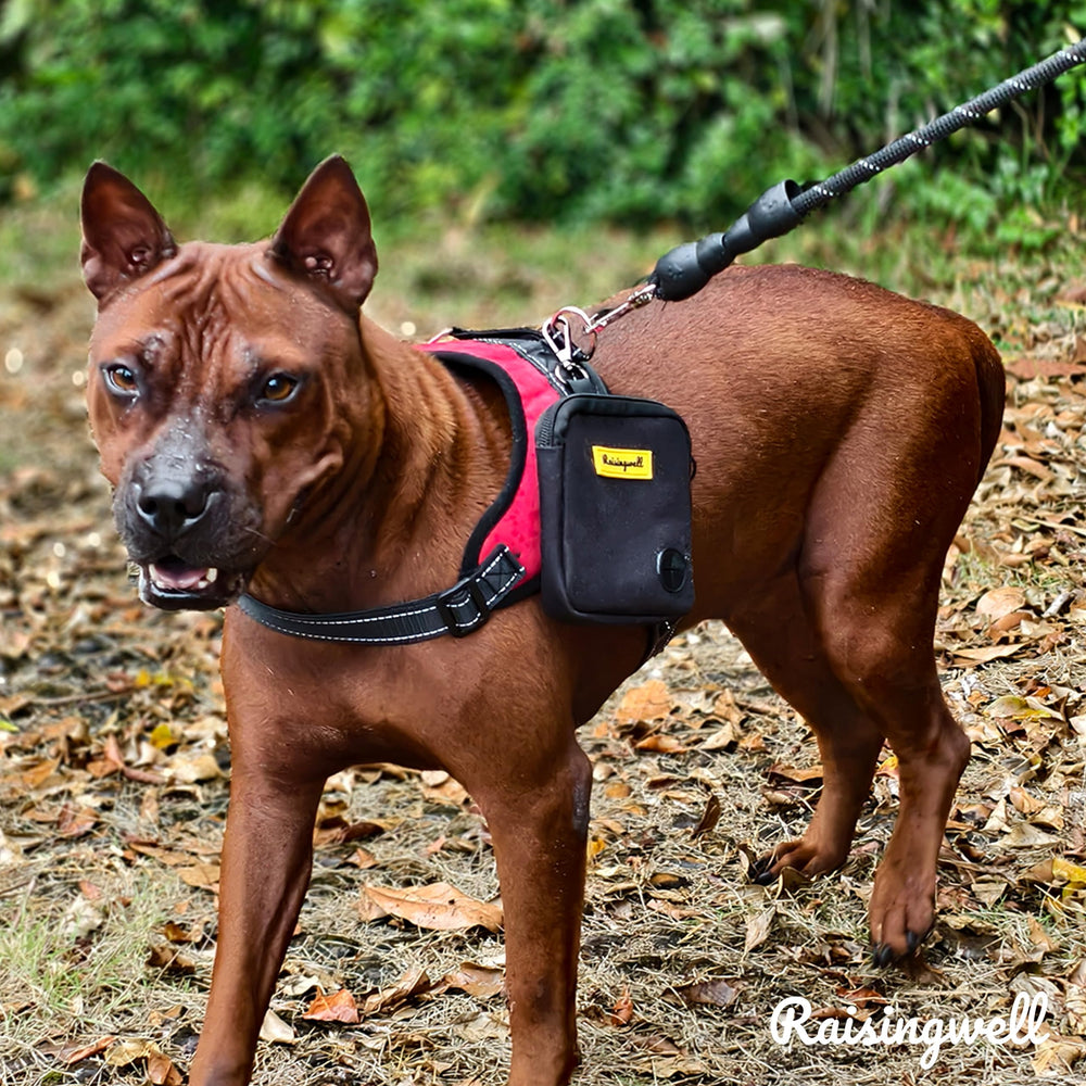 Raisingwell bolsa premios perro, doble uso, sirve para comida y juguetes pequeños.