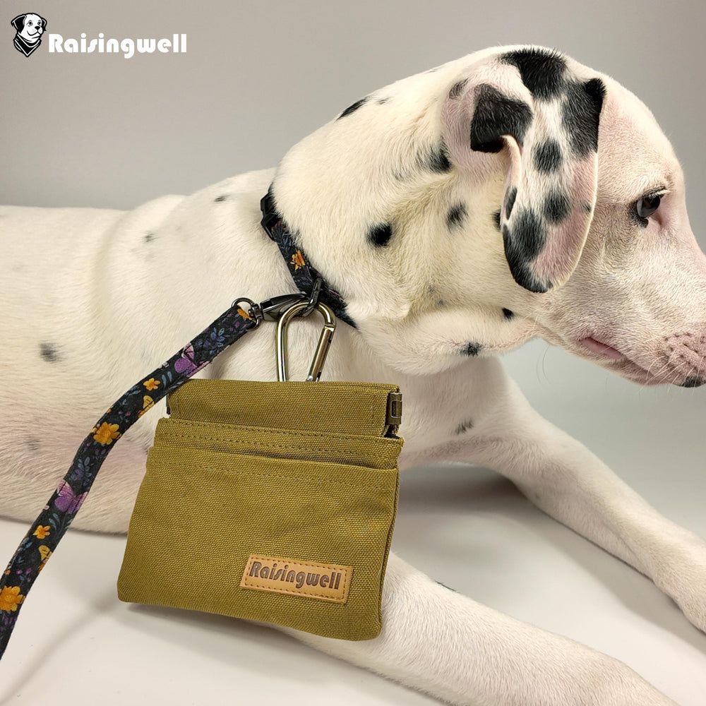 Raisingwell bolsillo frontal para bolsas de desecho durante caminatas