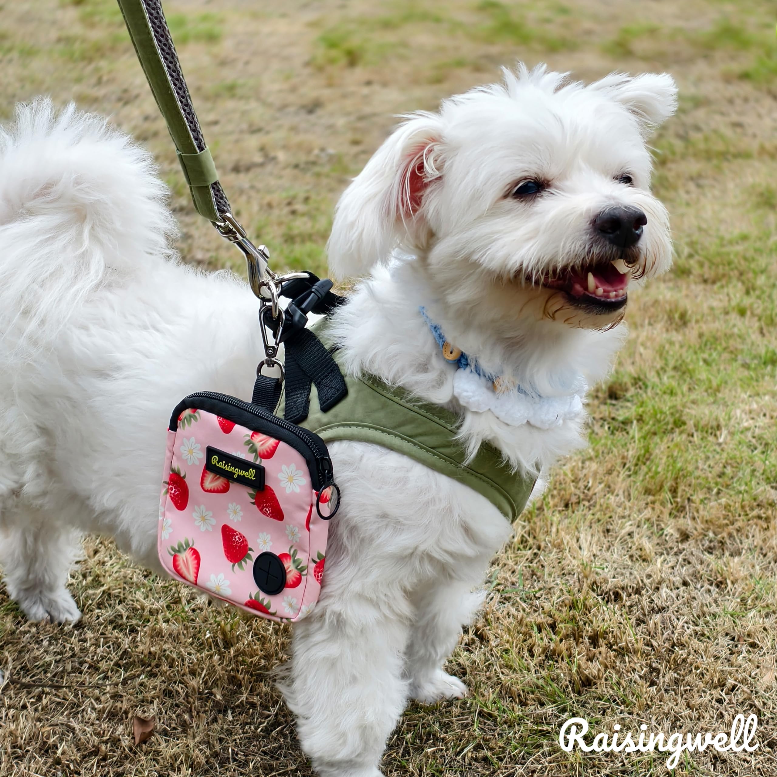 Raisingwell bolsita lavable, fácil de limpiar tras sesiones de juego