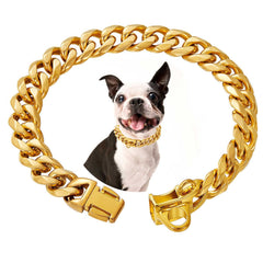 RAIWAV collar cadena cubano oro 18K, resistente y elegante para perros.