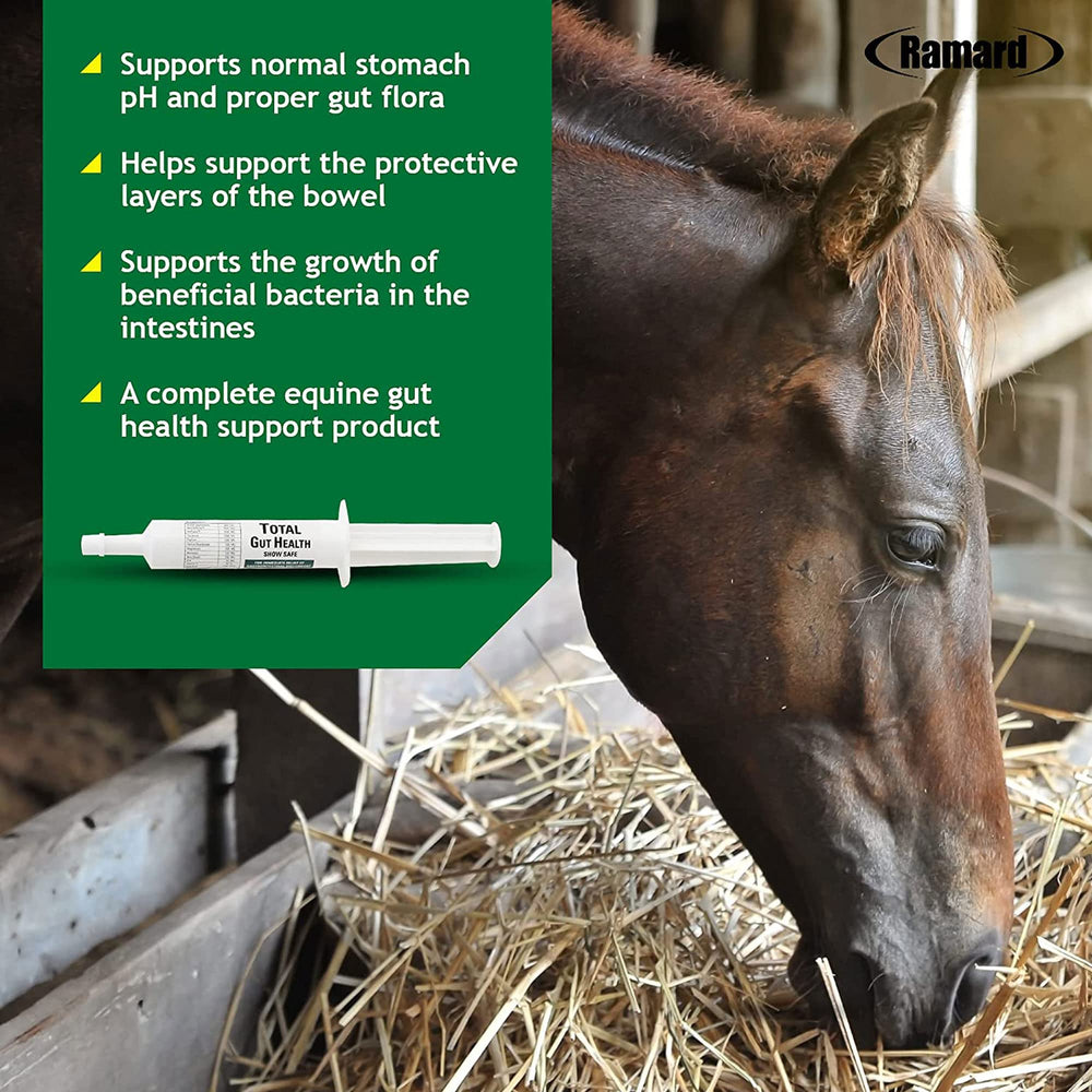 Ramard Salud Total del Intestino Equino, caballo en pasto muestra uso diario.