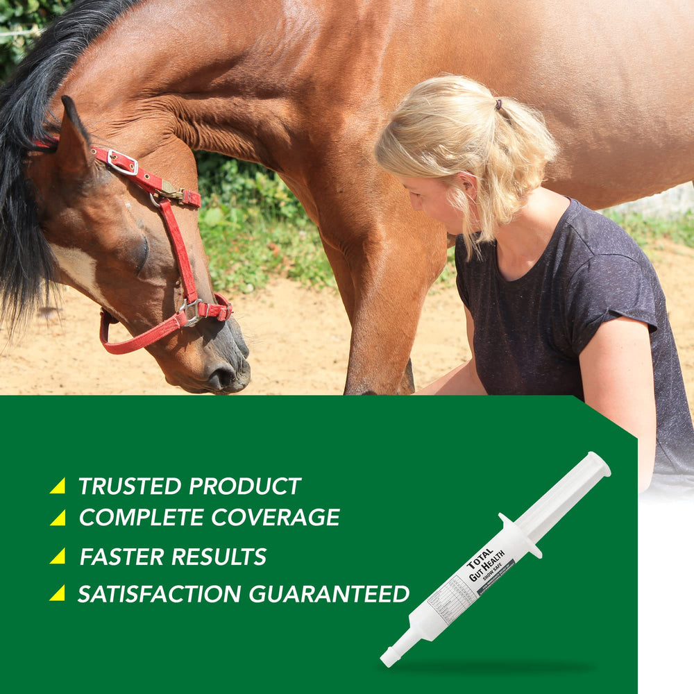 Ramard Salud Total del Intestino Equino, ingredientes clave que apoyan la flora intestinal.