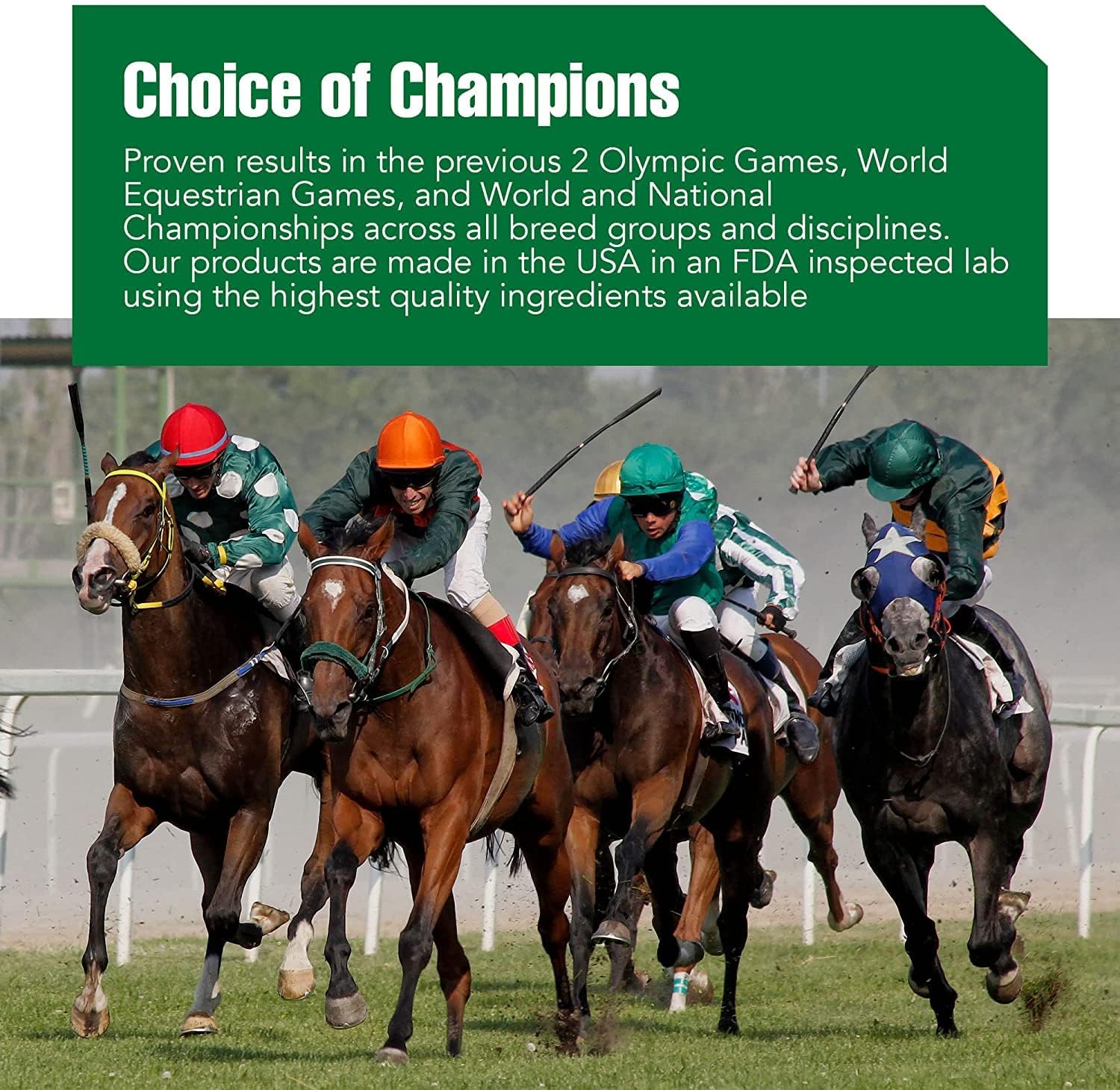 Ramard Total Calm aplicación manual para caballo durante la rutina