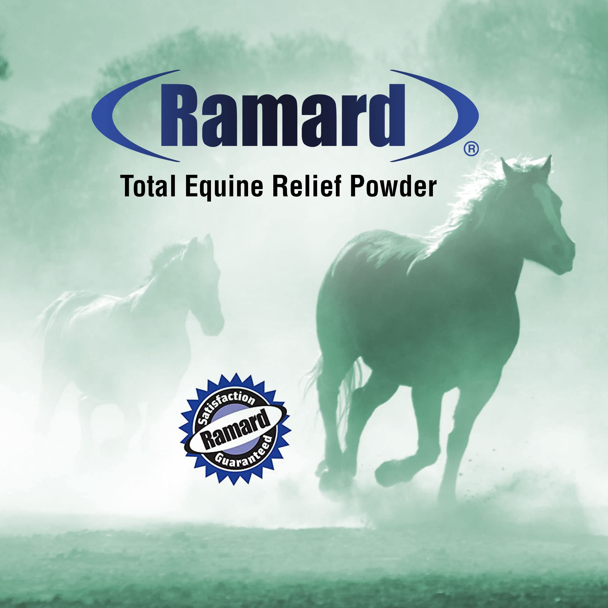 Ramard Total Equine Relief, soporte articular seguro para caballos activos.