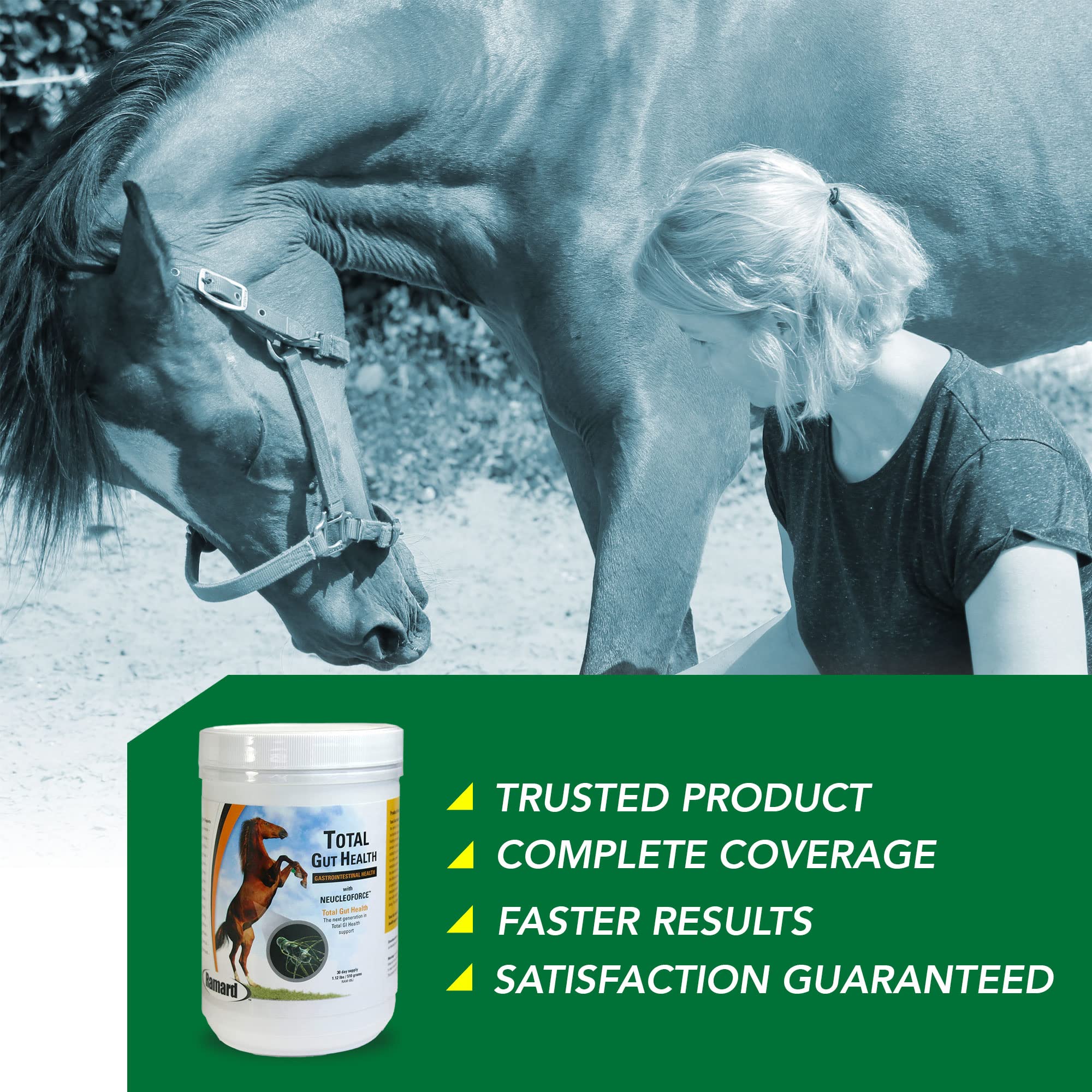Ramard Total Gut Health, caballo-alimentando, uso práctico durante la ración diaria.