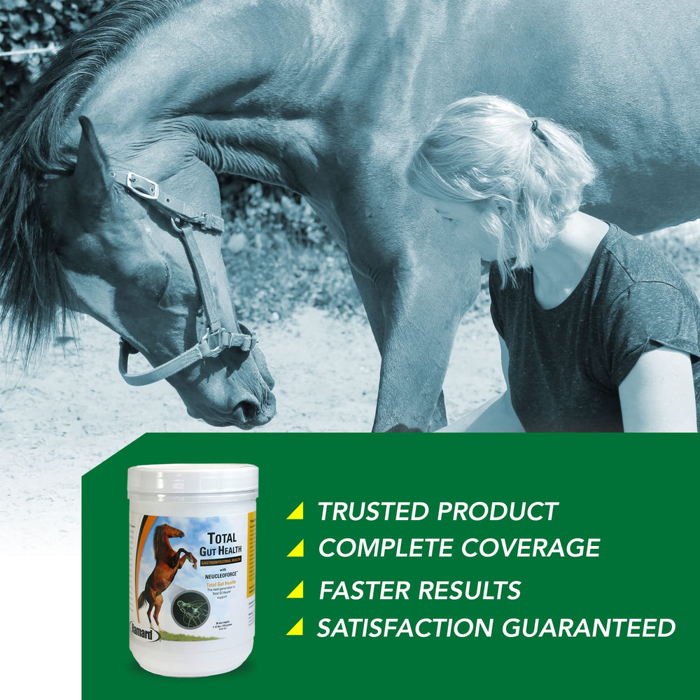Ramard Total Gut Health, caballo-alimentando, uso práctico durante la ración diaria.