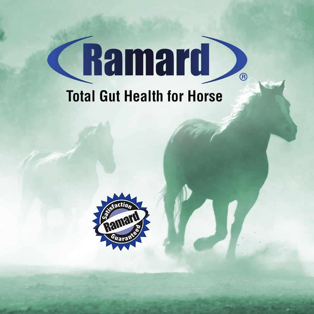Ramard Total Gut Health, mezcla-ingredientes, fórmula para flora intestinal equilibrada.
