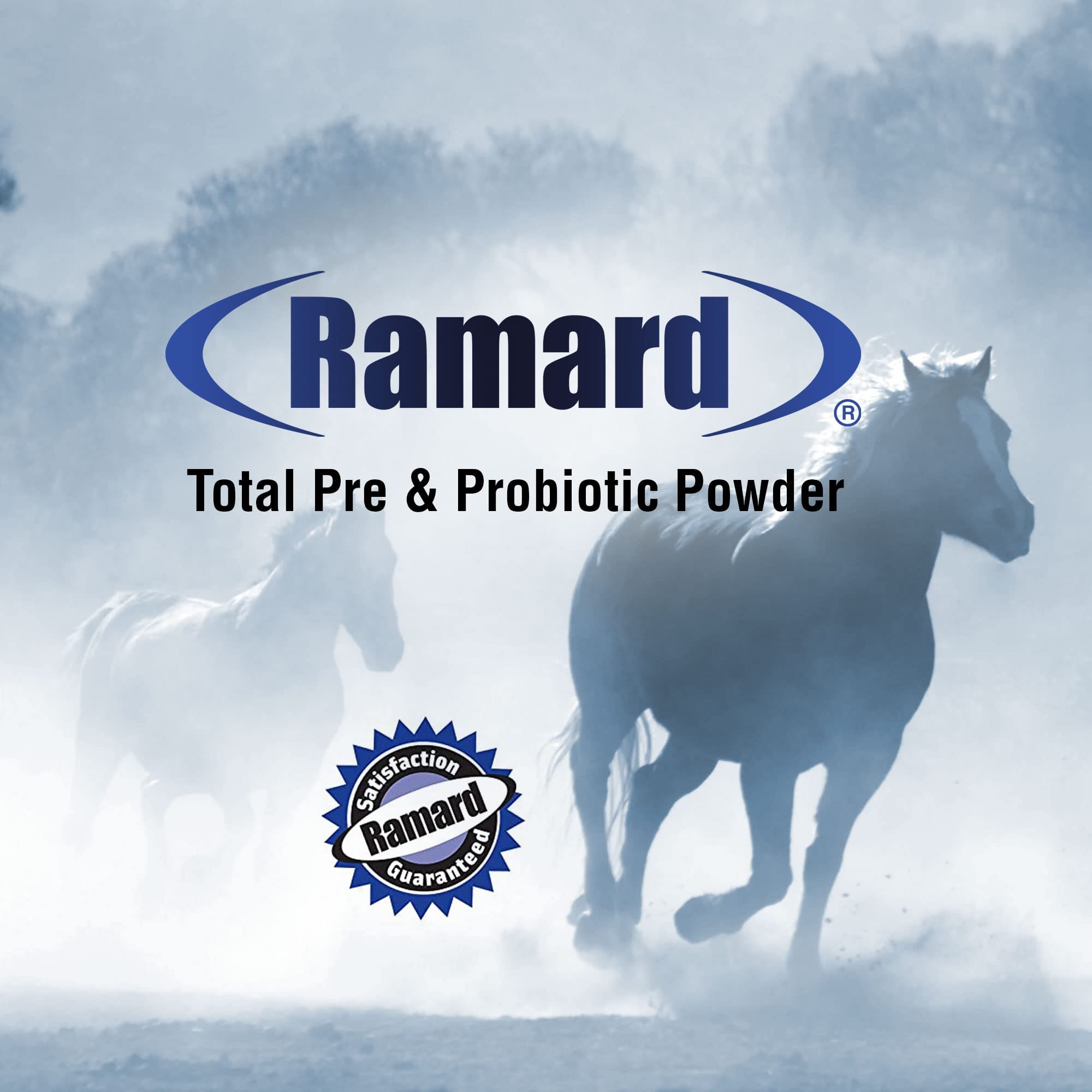 Empaque de Ramard listo para envío