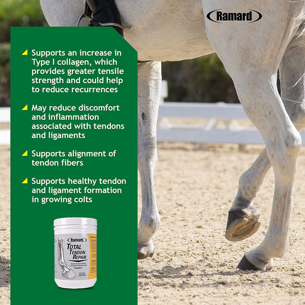 Ramard Total Tendon Repair, mezcla en cuenco para uso diario de caballos.